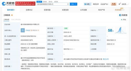 菜鳥網(wǎng)絡(luò)再布局物聯(lián)網(wǎng)賽道，同日成立兩家技術(shù)公司聚焦信息服務(wù)